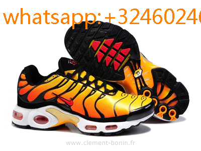 basquette nike tn