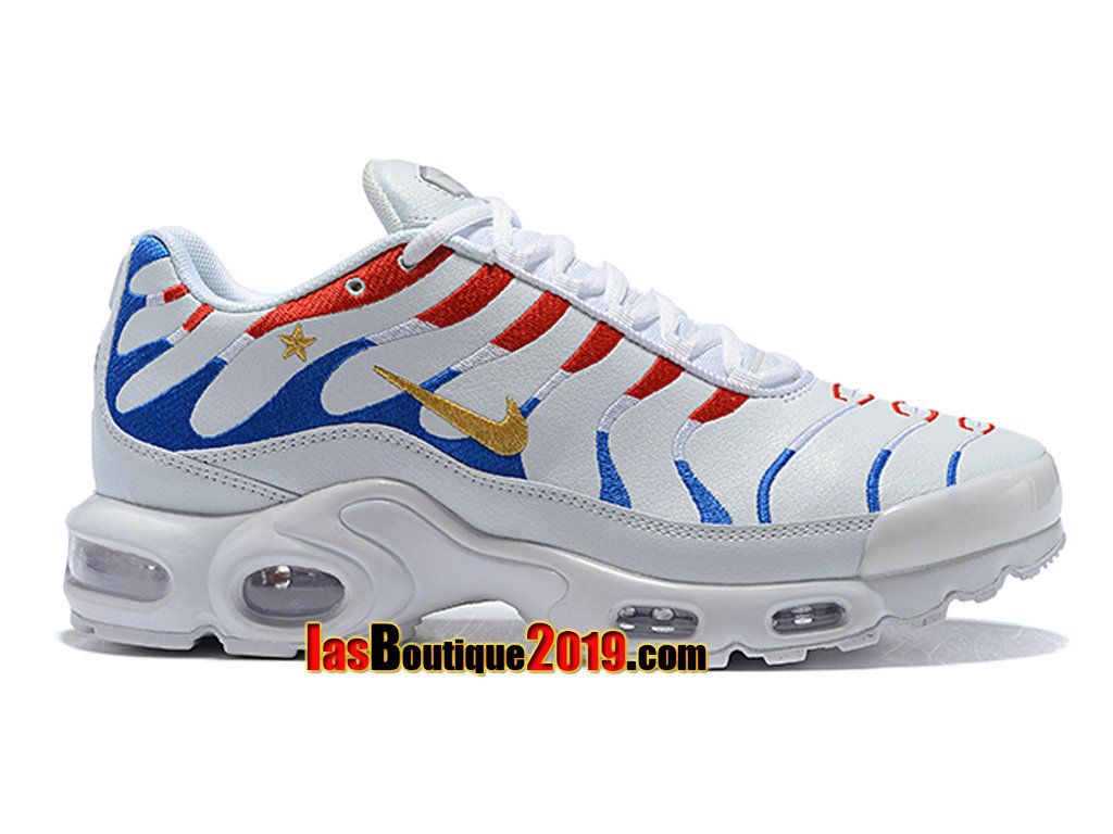 tn requin bleu